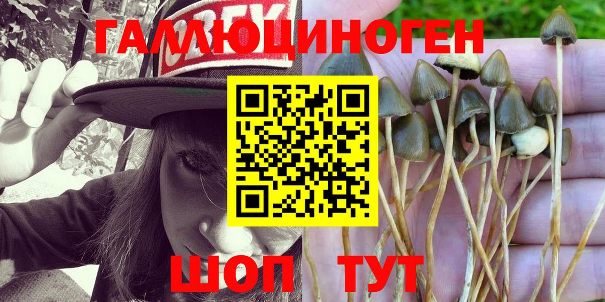 Белореченск  Псилоцибиновые грибы Psilocybine cubensis  как найти наркотики  Вход с VPN 